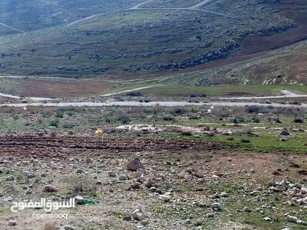 قطعة أرض فاخرة في شفا بدران زنات ربوع