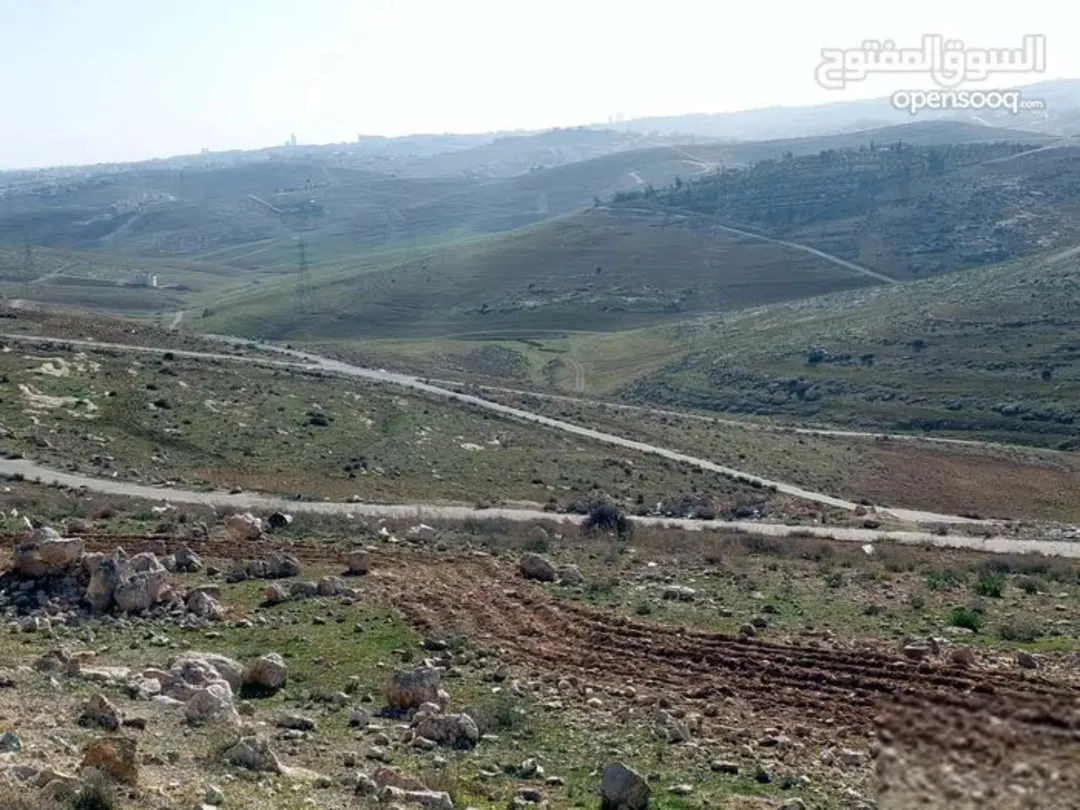 قطعة أرض فاخرة في شفا بدران زنات ربوع