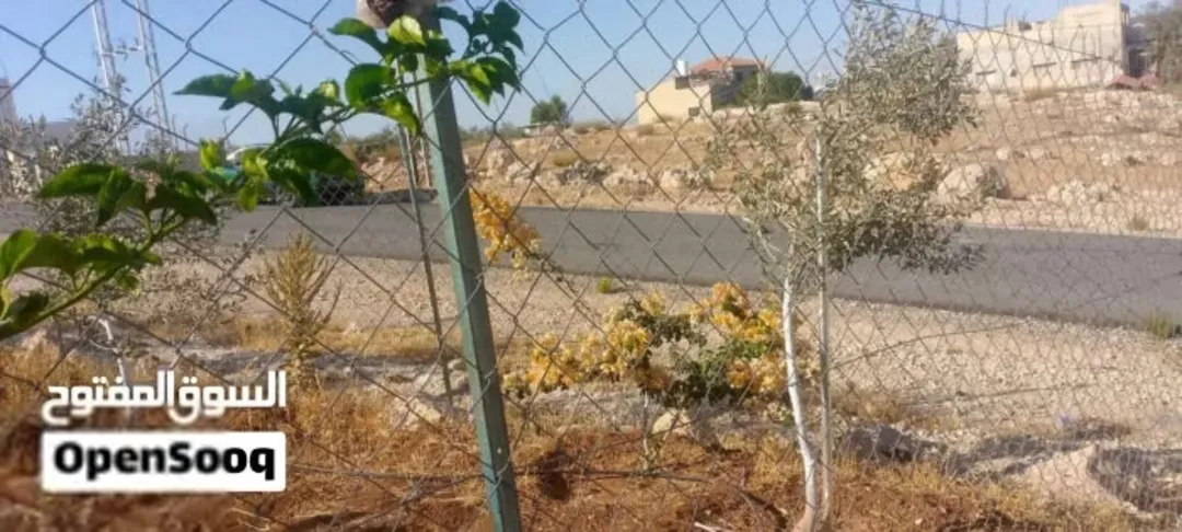 لمن يبحث عن الهدوء والتمييز والهواء النقي قطعة أرض سكنية للبيع