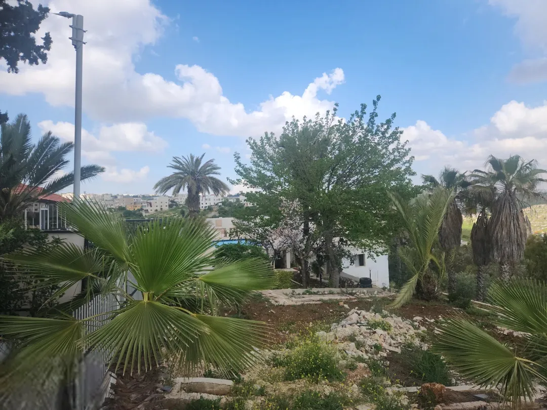 خمس دقائق فقط عن حدائق الحسين الرباحية الجنوبية