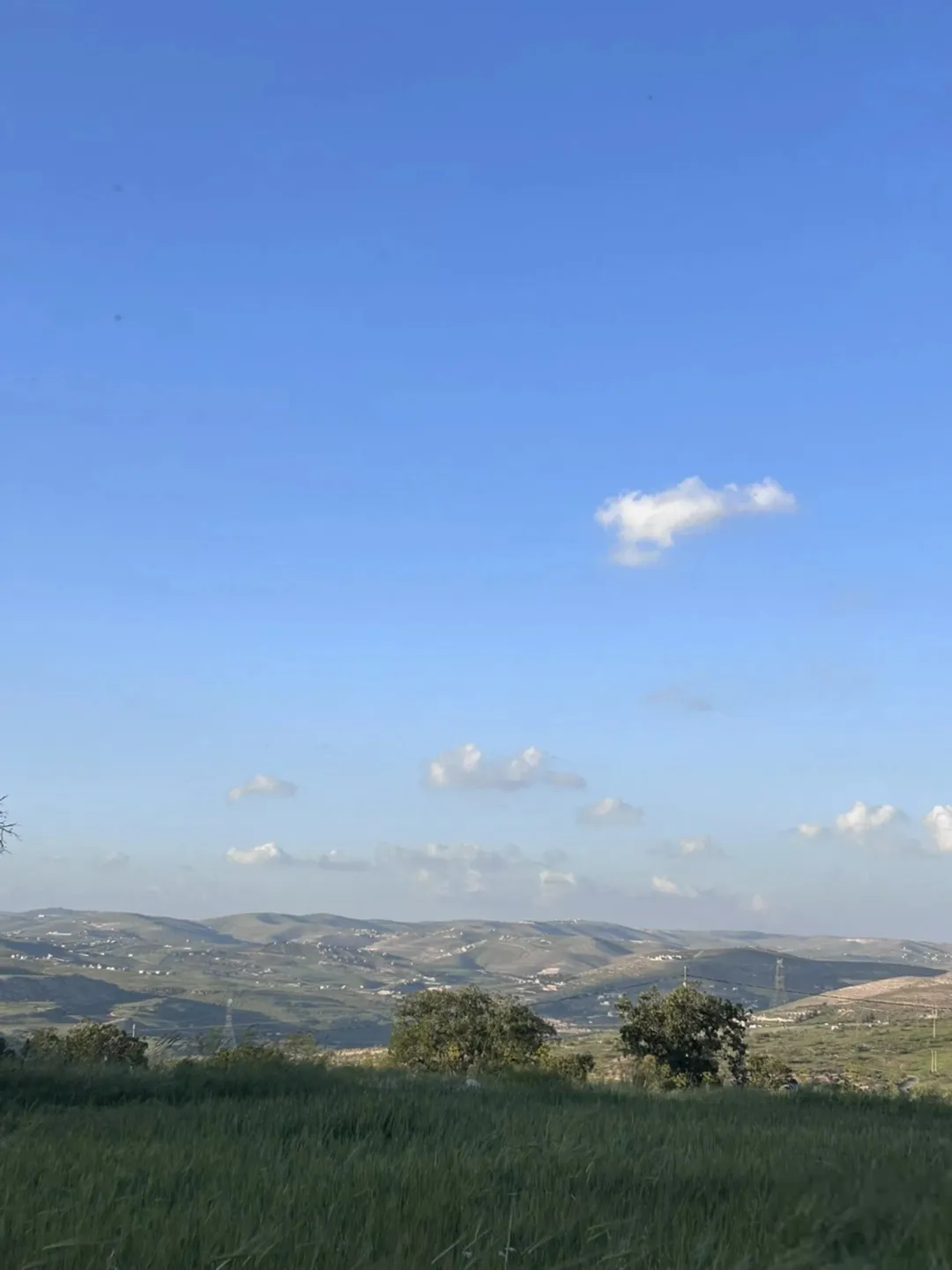 فرصة استثمارية أرض للبيع في صروت
