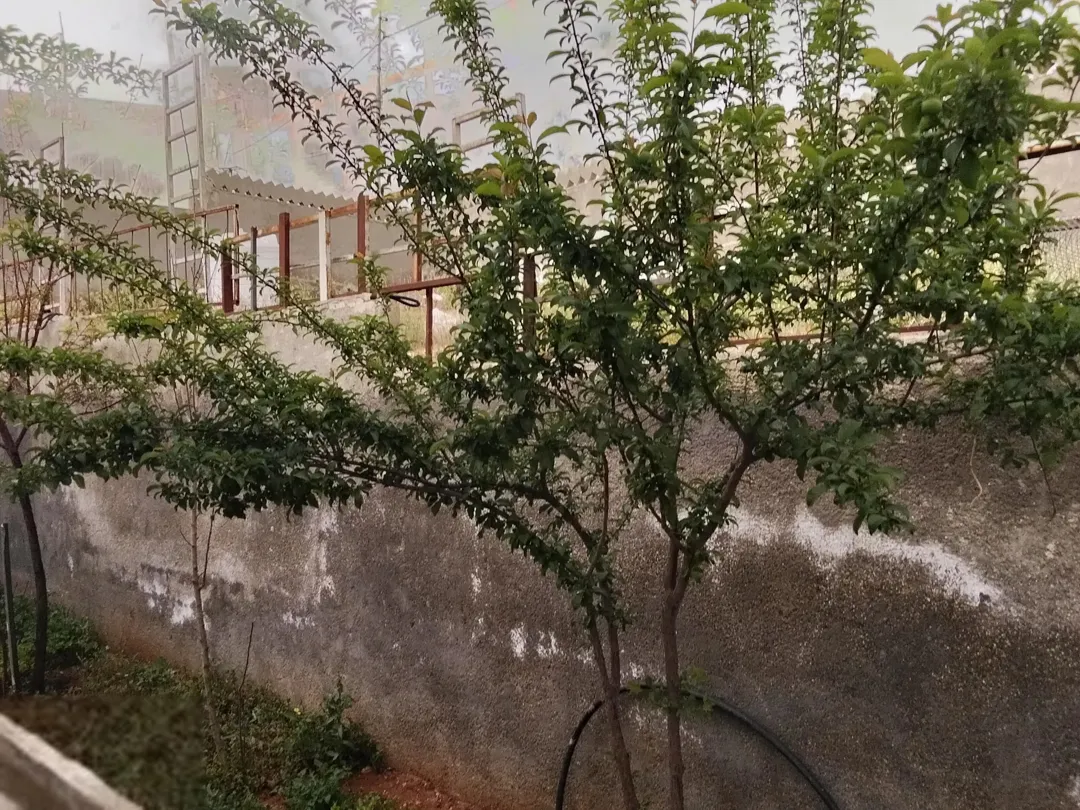 بيت على دونم ارض واجهه 68 على شارعين ثلاثين و14 للبيع بداعي السفر