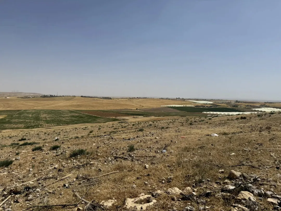 أرض واسعة للبيع في ارينبه الغربية – عمان
