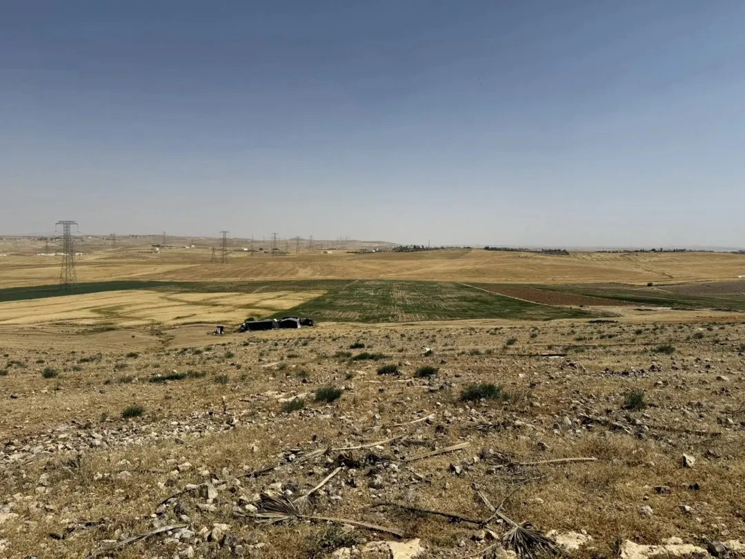 أرض واسعة للبيع في ارينبه الغربية – عمان