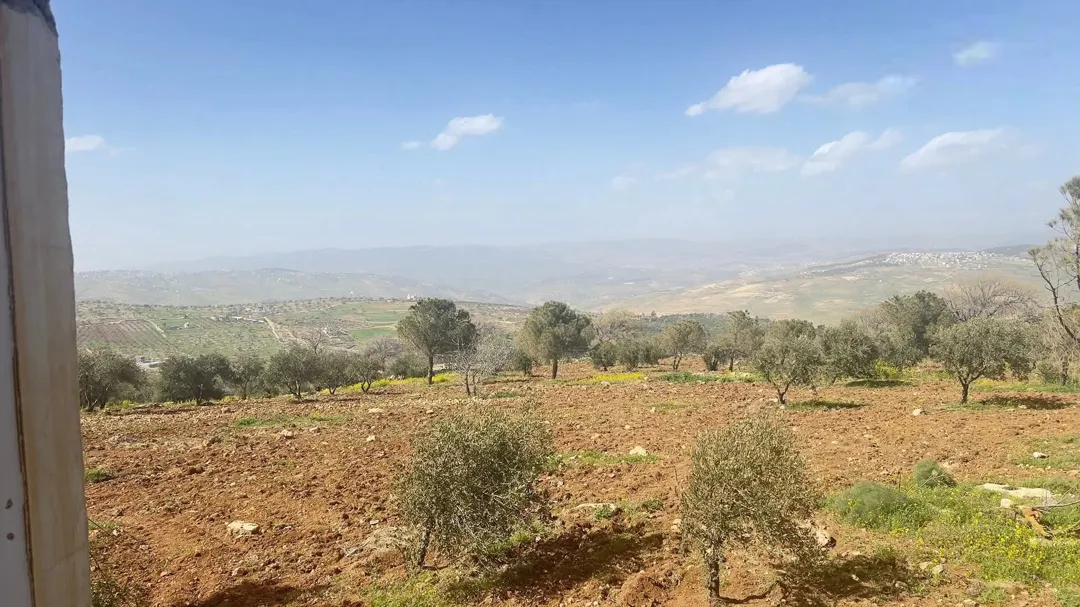 قطعة أرض مميزة للبيع في العالوك تل القمر