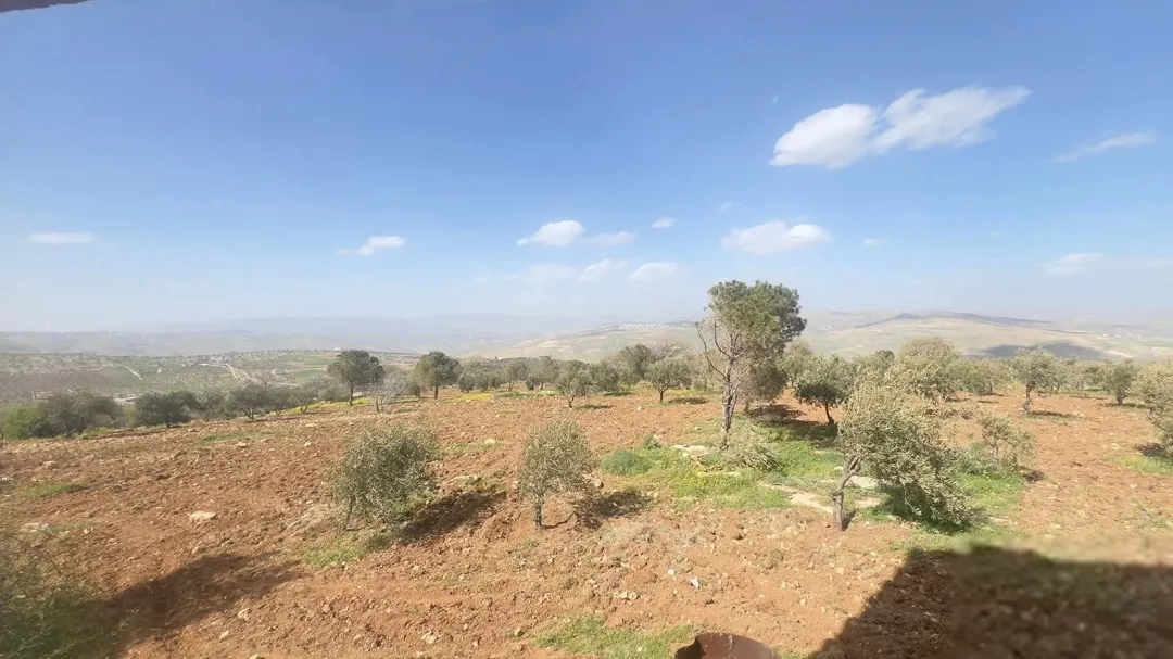 قطعة أرض مميزة للبيع في العالوك تل القمر