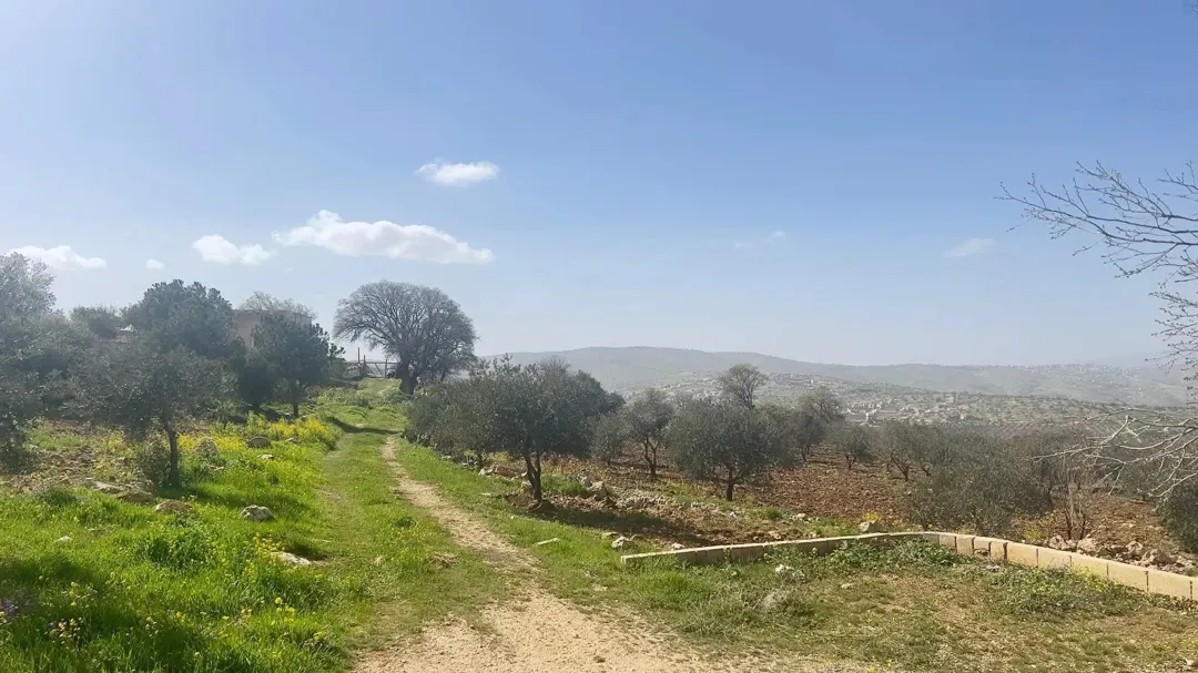 قطعة أرض مميزة للبيع في العالوك تل القمر