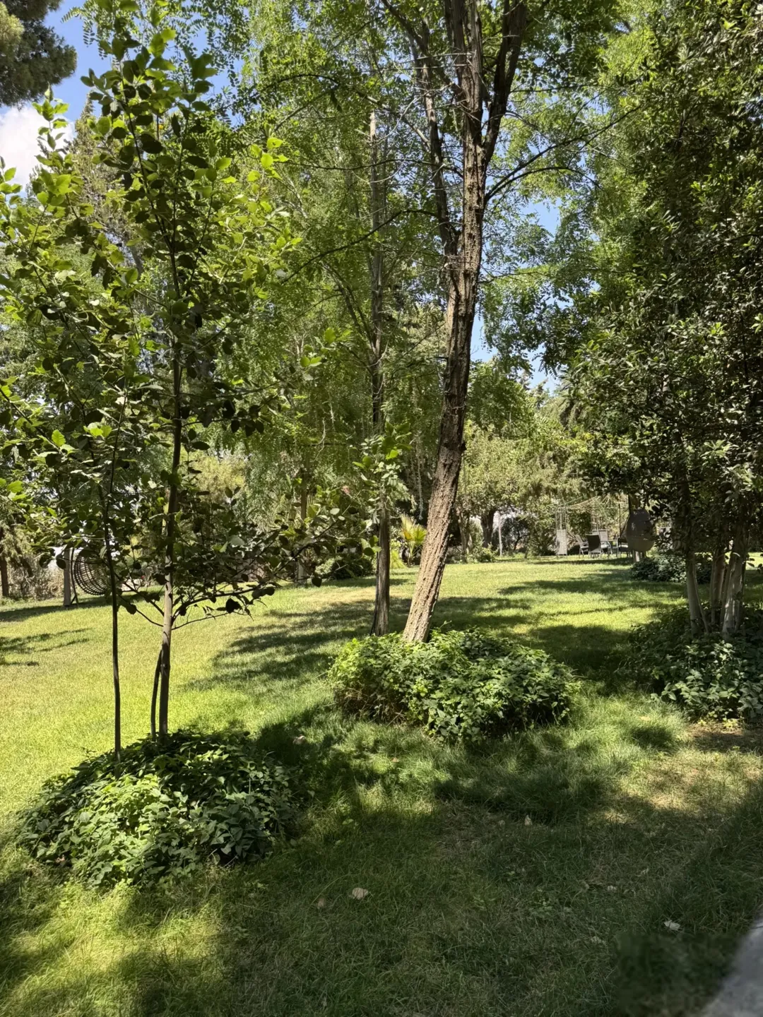 فرصة استثمارية نادرة Abu Hassan Getaway مشروع ضيافة واستجمام قائم السلط