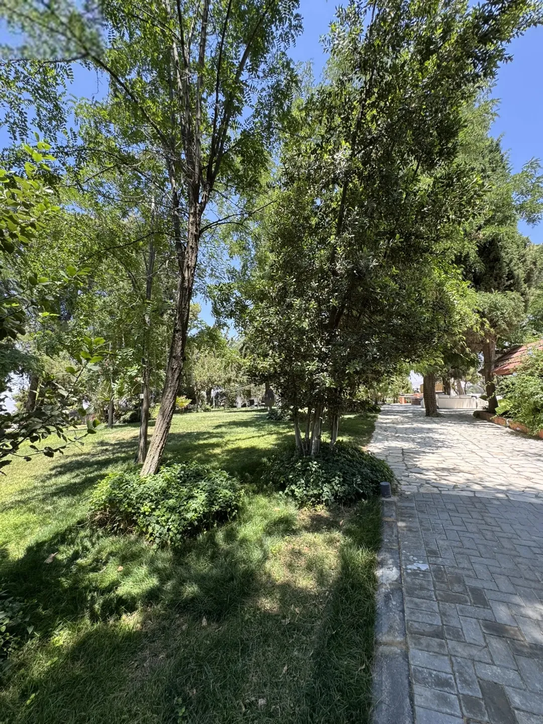فرصة استثمارية نادرة Abu Hassan Getaway مشروع ضيافة واستجمام قائم السلط