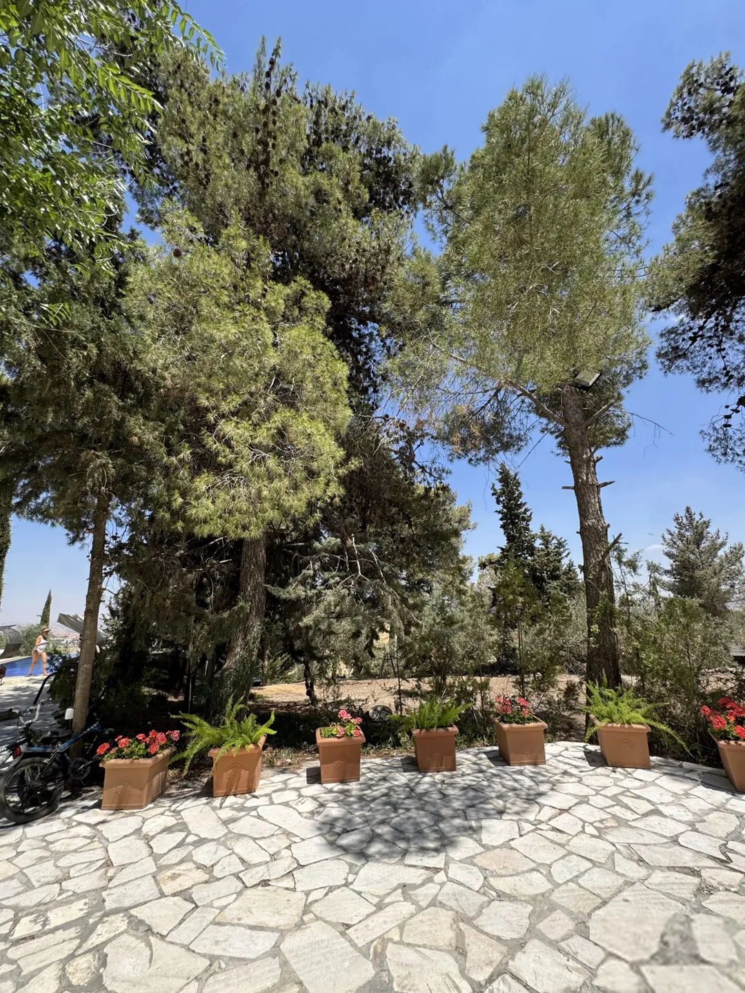 فرصة استثمارية نادرة Abu Hassan Getaway مشروع ضيافة واستجمام قائم السلط