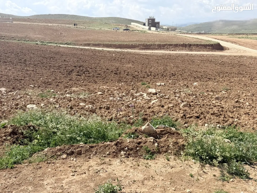 أراضٍ للبيع في غريسا – طريق الحصب