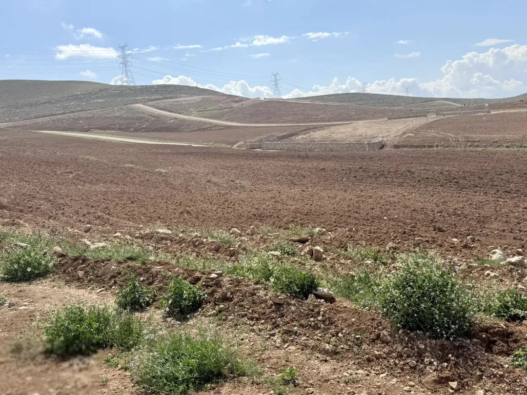 أراضٍ للبيع في غريسا – طريق الحصب