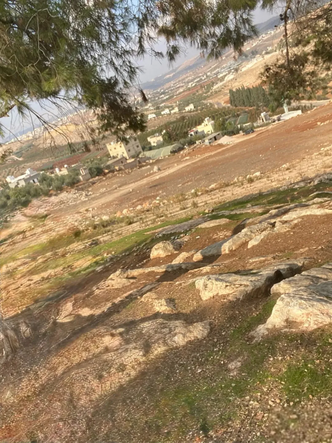 أرضان للبيع في جرش بمساحة 1,150 م٢ لكل قطعة