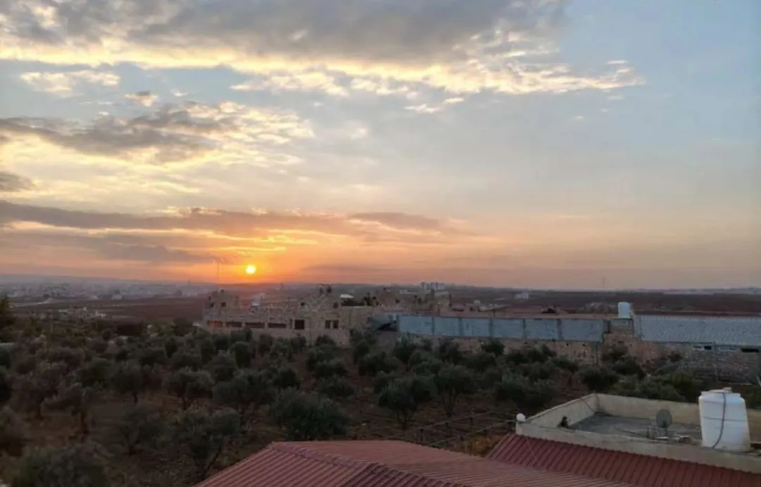مزرعه في حواره اربد بجانب سرايا الشرع 10دونم على شارعين سعر الدونم 28 الف — صورة 5