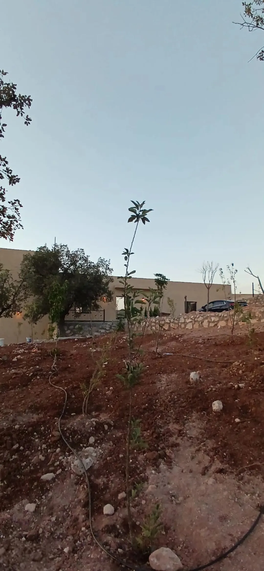 مزرعة جديدة للبيع في العالوك تحت الإنشاء