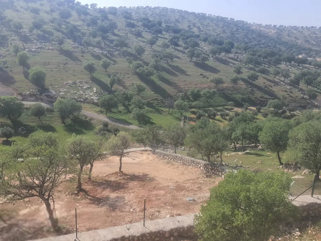 مزرعة جديدة للبيع في العالوك تحت الإنشاء