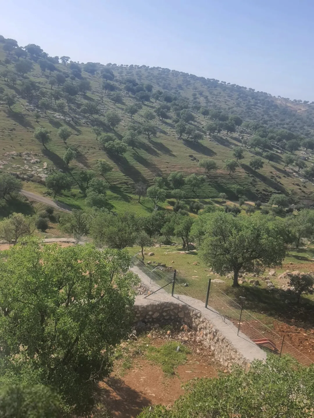 مزرعة جديدة للبيع في العالوك تحت الإنشاء
