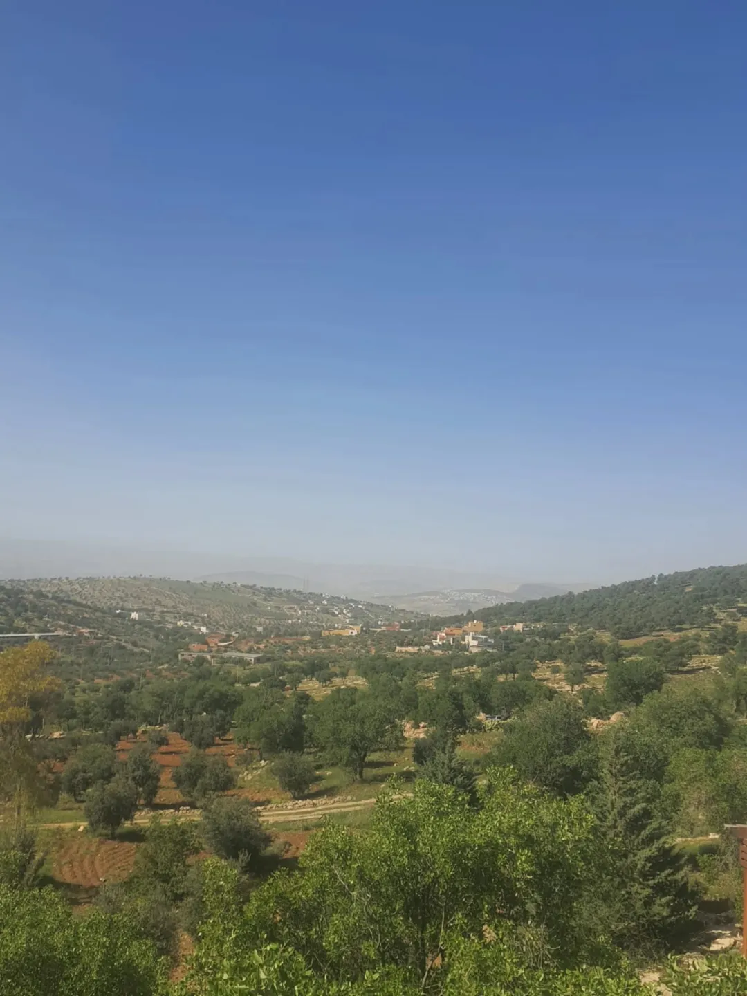 مزرعة جديدة للبيع في العالوك تحت الإنشاء
