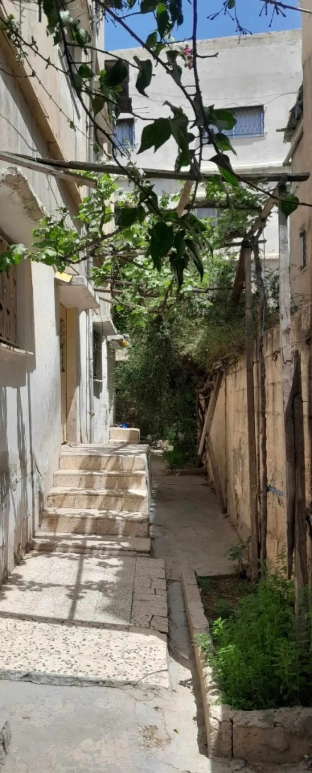 بيت للبيع منزل طابقين ورووف ساحر