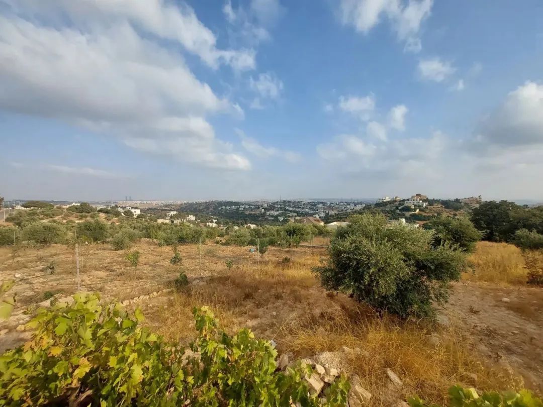 أرض مميزة في بدر الجديدة – حوض الميسر إطلالة بانورامية