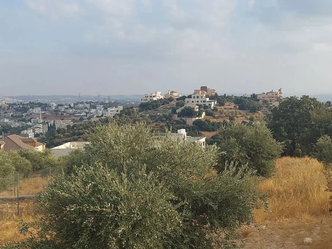 أرض مميزة في بدر الجديدة – حوض الميسر إطلالة بانورامية