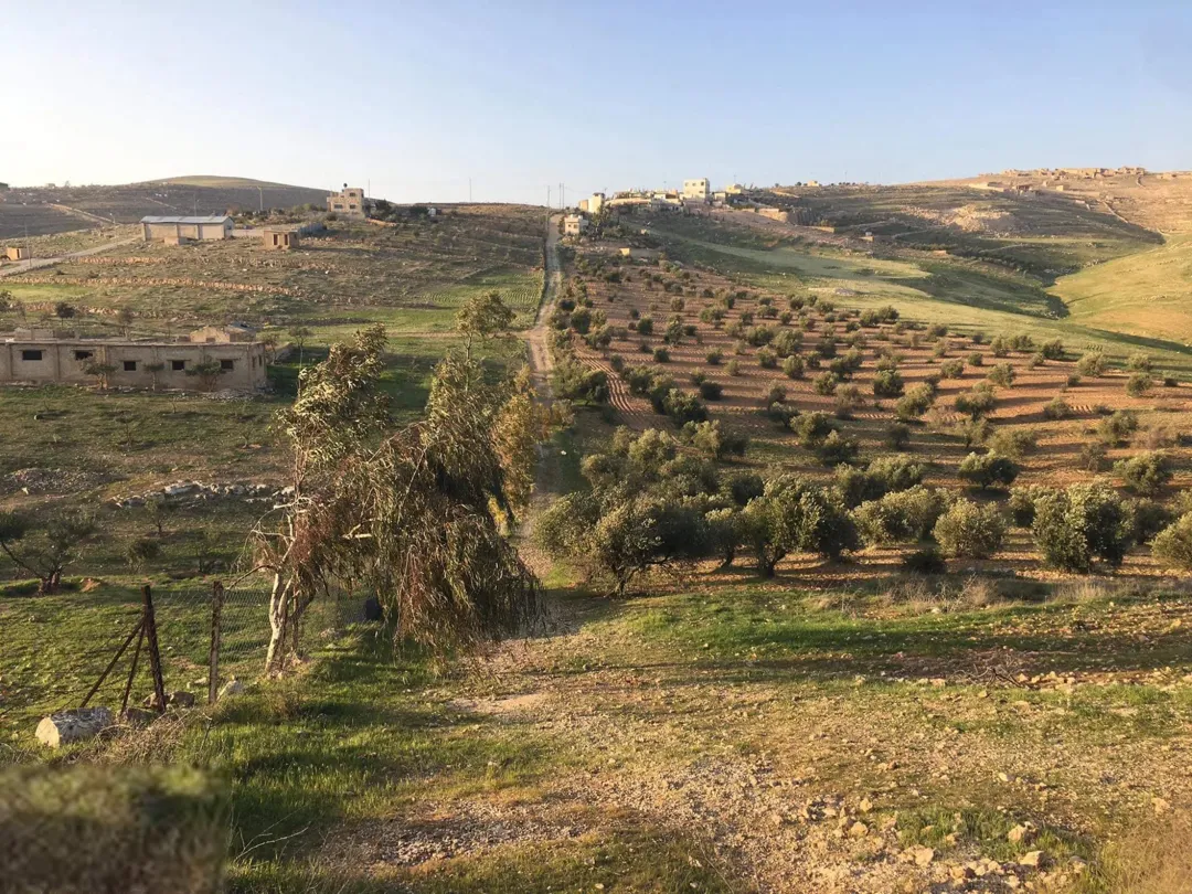 مزرعة مشجرة للبيع في غريسا، الزرقاء
