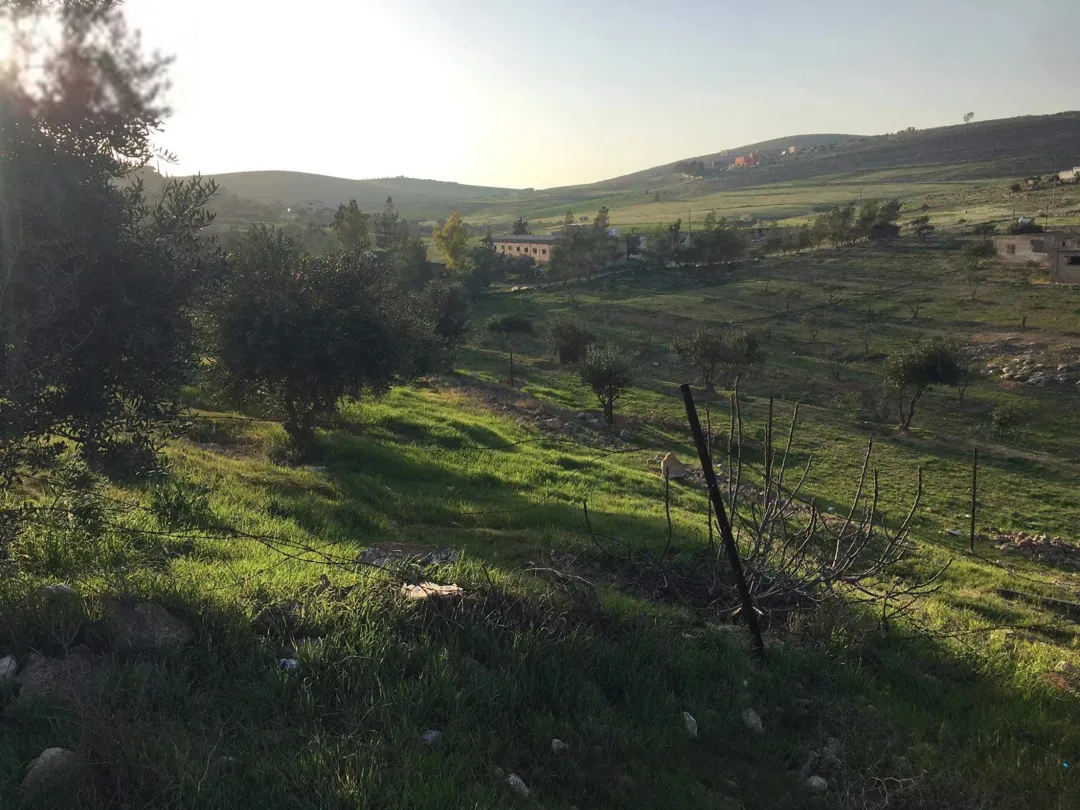 مزرعة مشجرة للبيع في غريسا، الزرقاء
