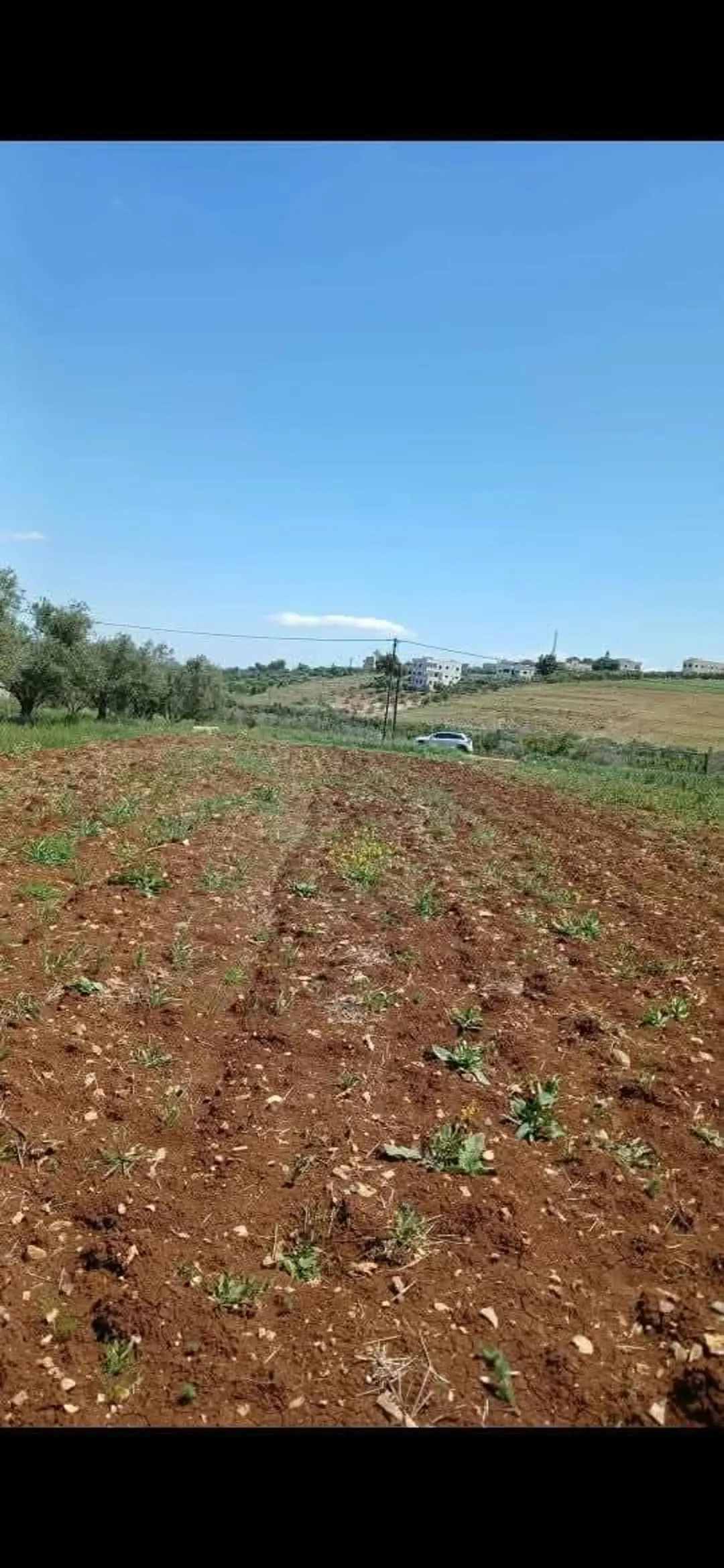 نص دونم للبيع حريما