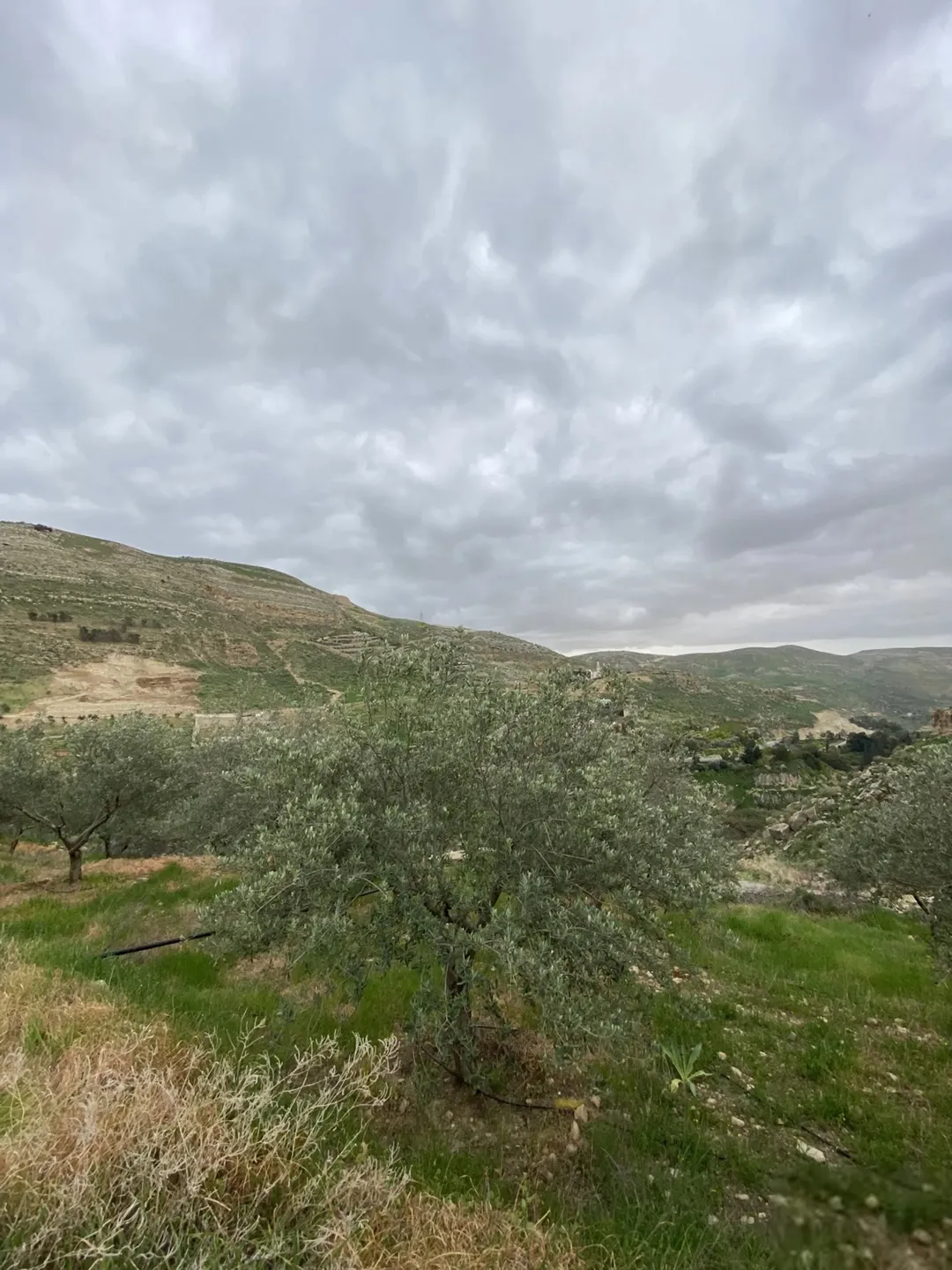 قطعة أرض مطلة للبيع