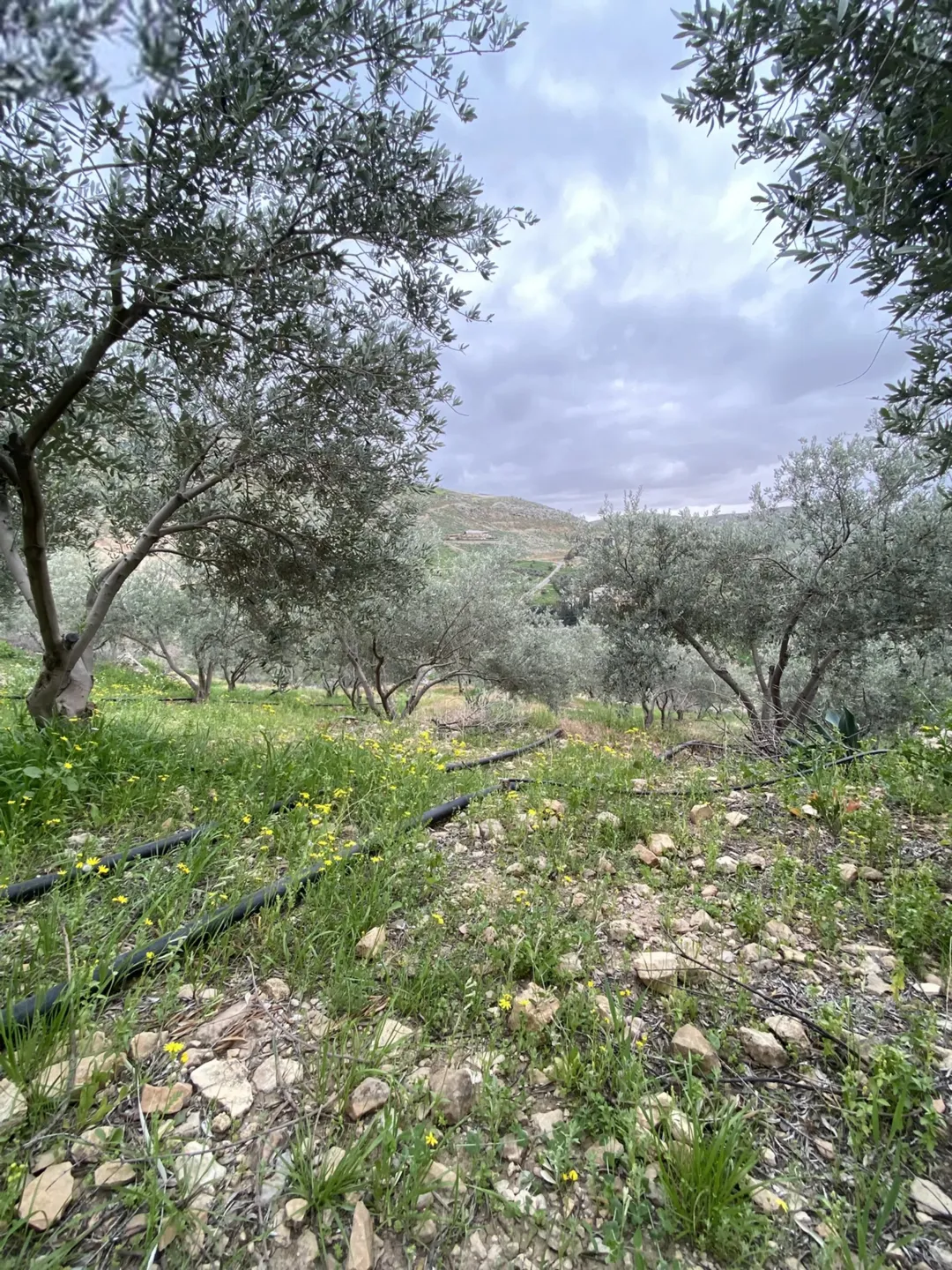 قطعة أرض مطلة للبيع