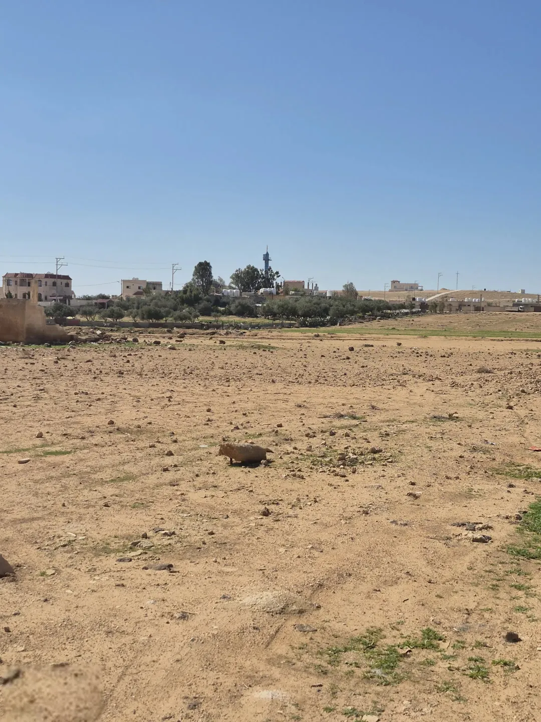 اراضي سكنيه للبيع شمال دوار الخالديه