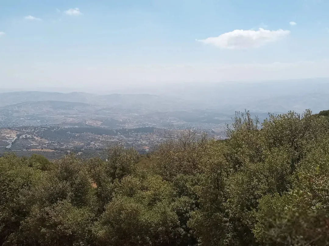 أرض زيتون مشجرة بإطلالة مميزة في جرش
