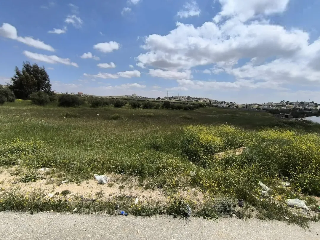 أرض تجارية مميزة على الشارع الرئيسي في بلعما – المفرق