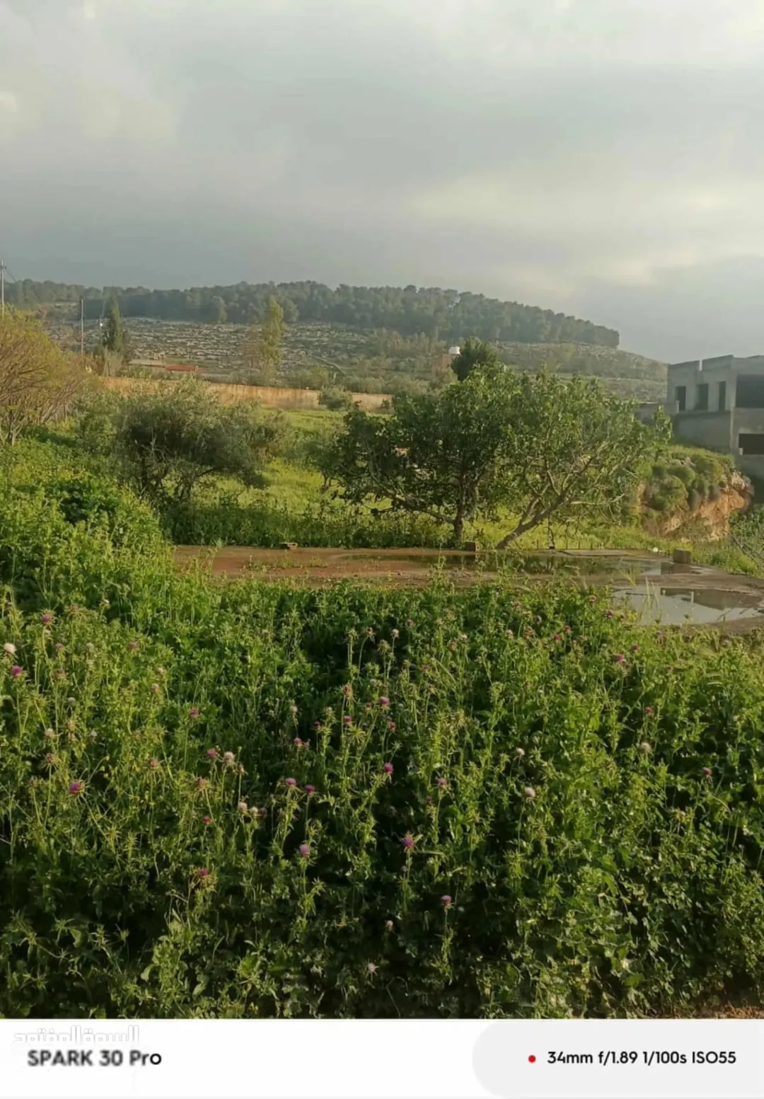 أرض زراعية للبيع في ناعور بإطلالة ساحرة على الغور وجبال فلسطين