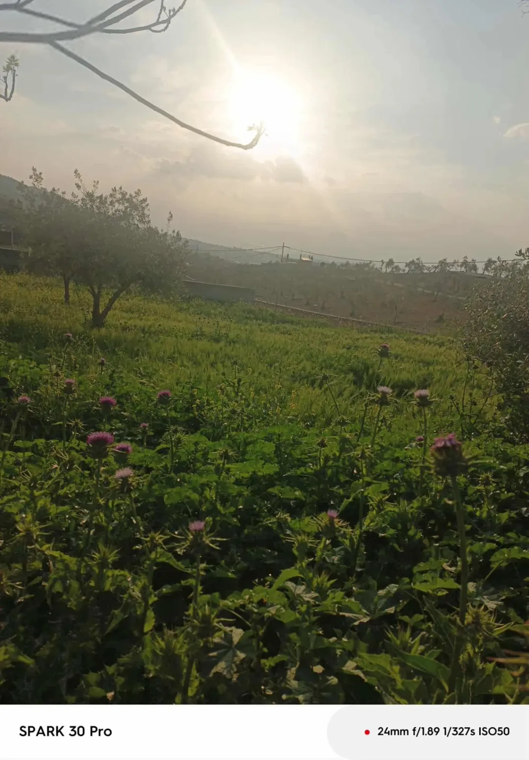 أرض زراعية للبيع في ناعور بإطلالة ساحرة على الغور وجبال فلسطين