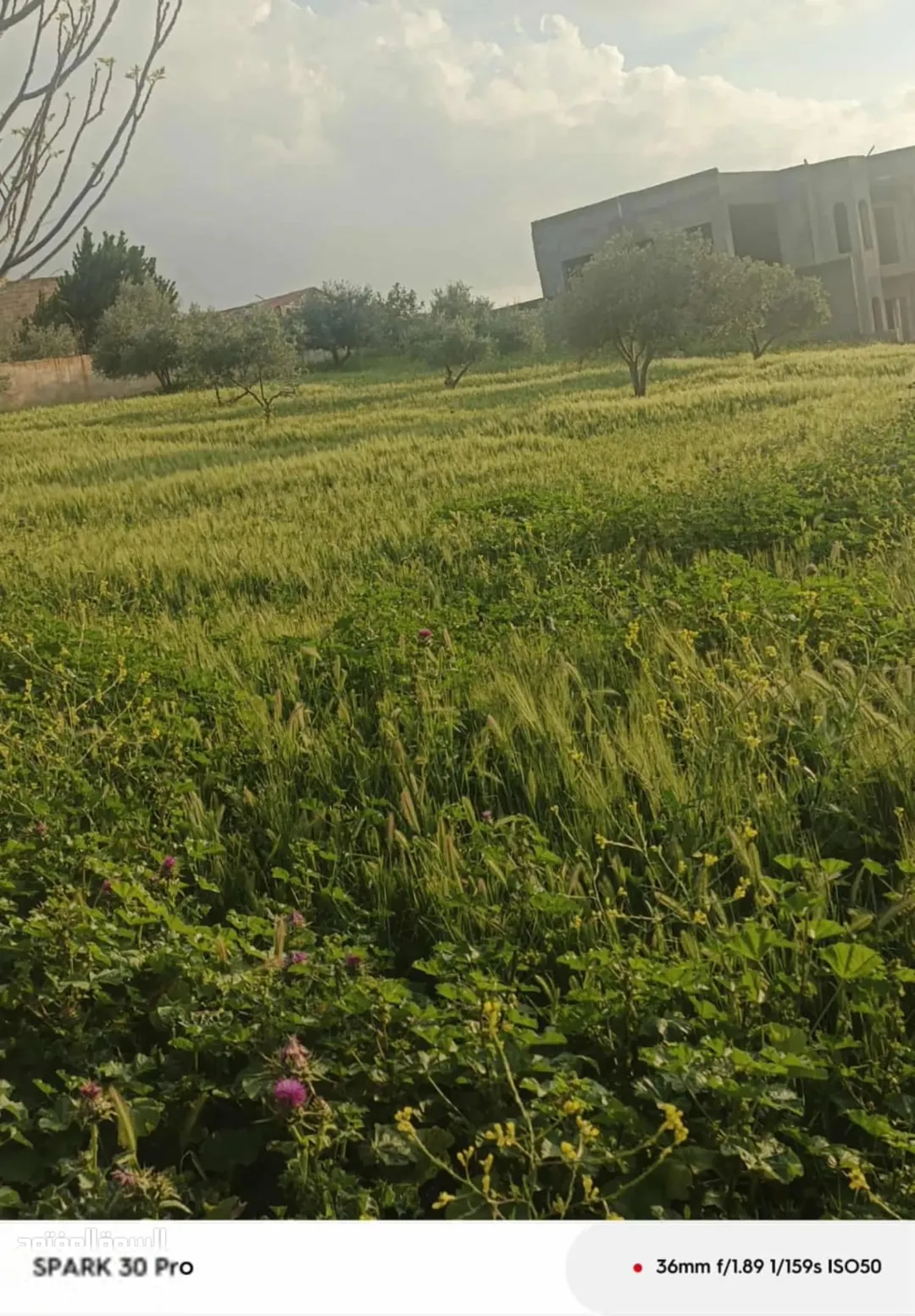 أرض زراعية للبيع في ناعور بإطلالة ساحرة على الغور وجبال فلسطين