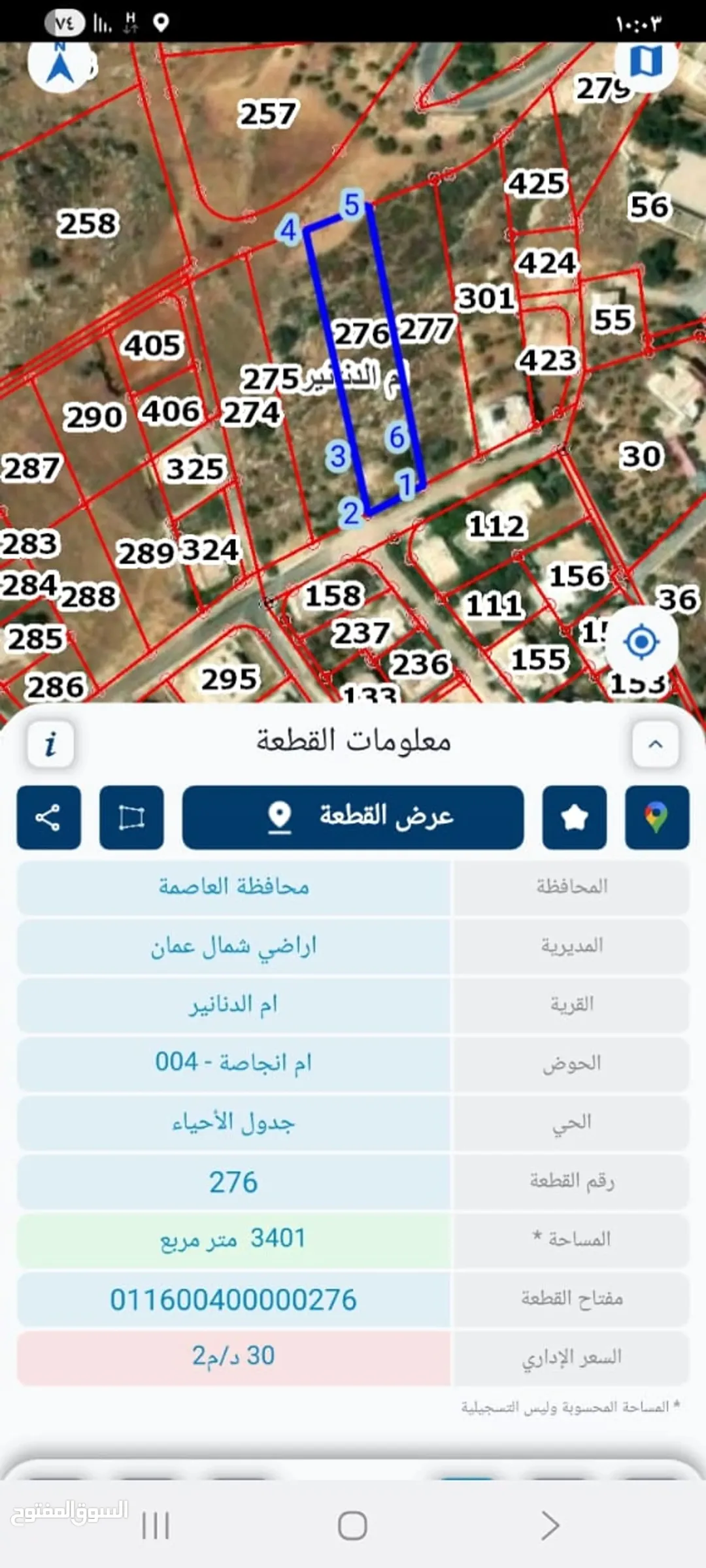أرض سكن ب، عمان- أم الدنانير، للبيع، منطقة جديدة، مطلة و هادئة، با القرب من غابات حرجية، بسعر مغري — صورة 2