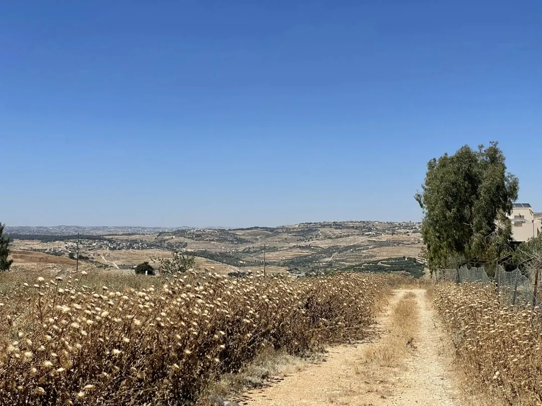 أرض سكنية مميزة في أجمل مناطق ناعور – المشقر