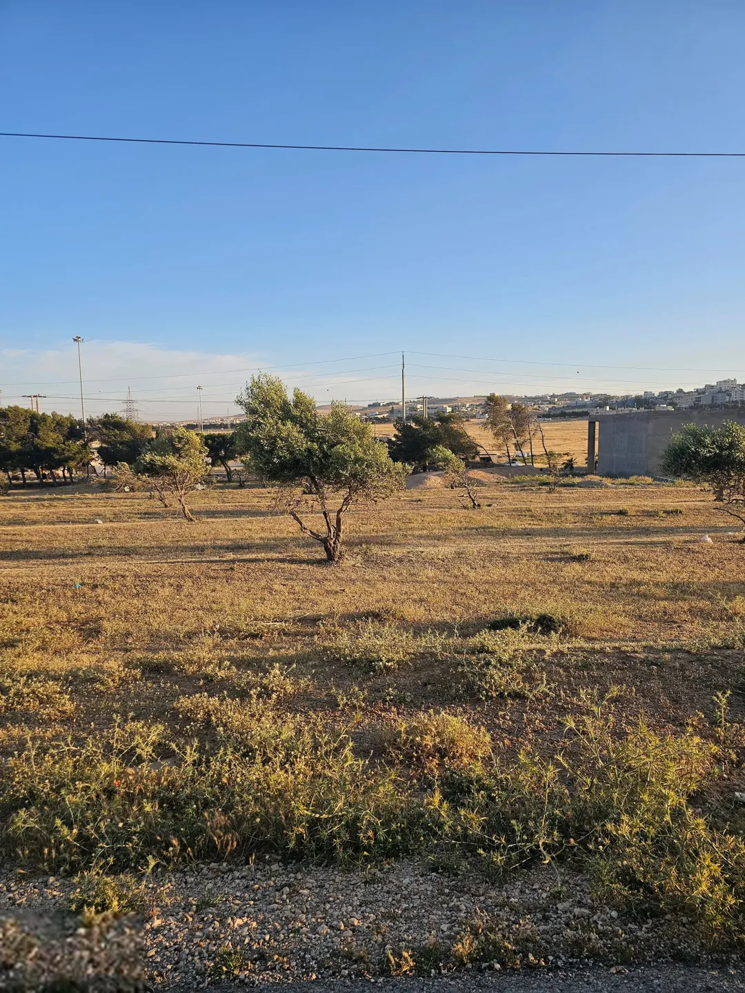 قطعة أرض مميزة الكرك/الثنية مقابل المجمع الجديد مباشرة و قريبة جدا من اشارة الكرك/الجامعة