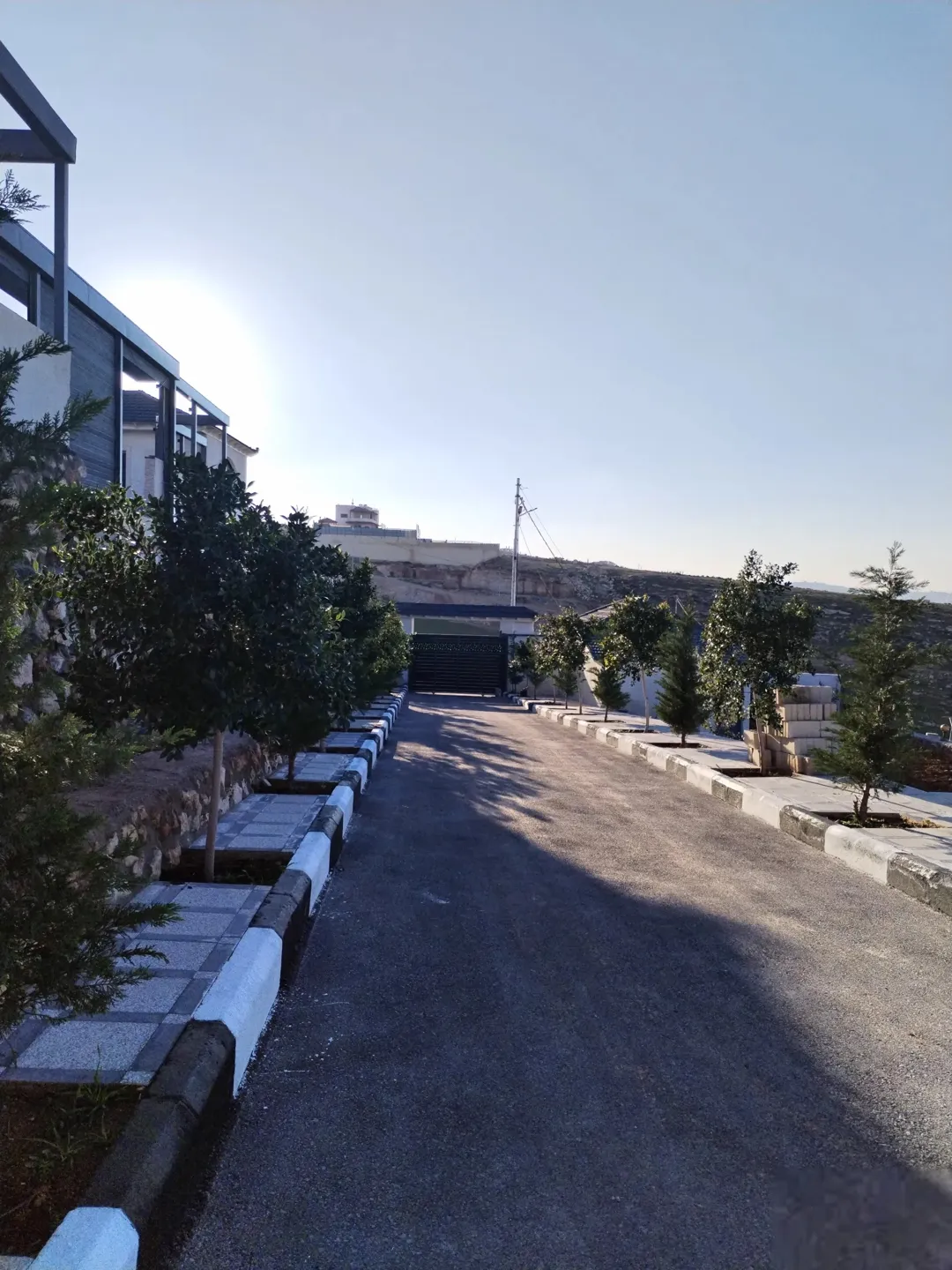 مزروعة مميزة محاذية للحرش مرتفعة وكاشفة