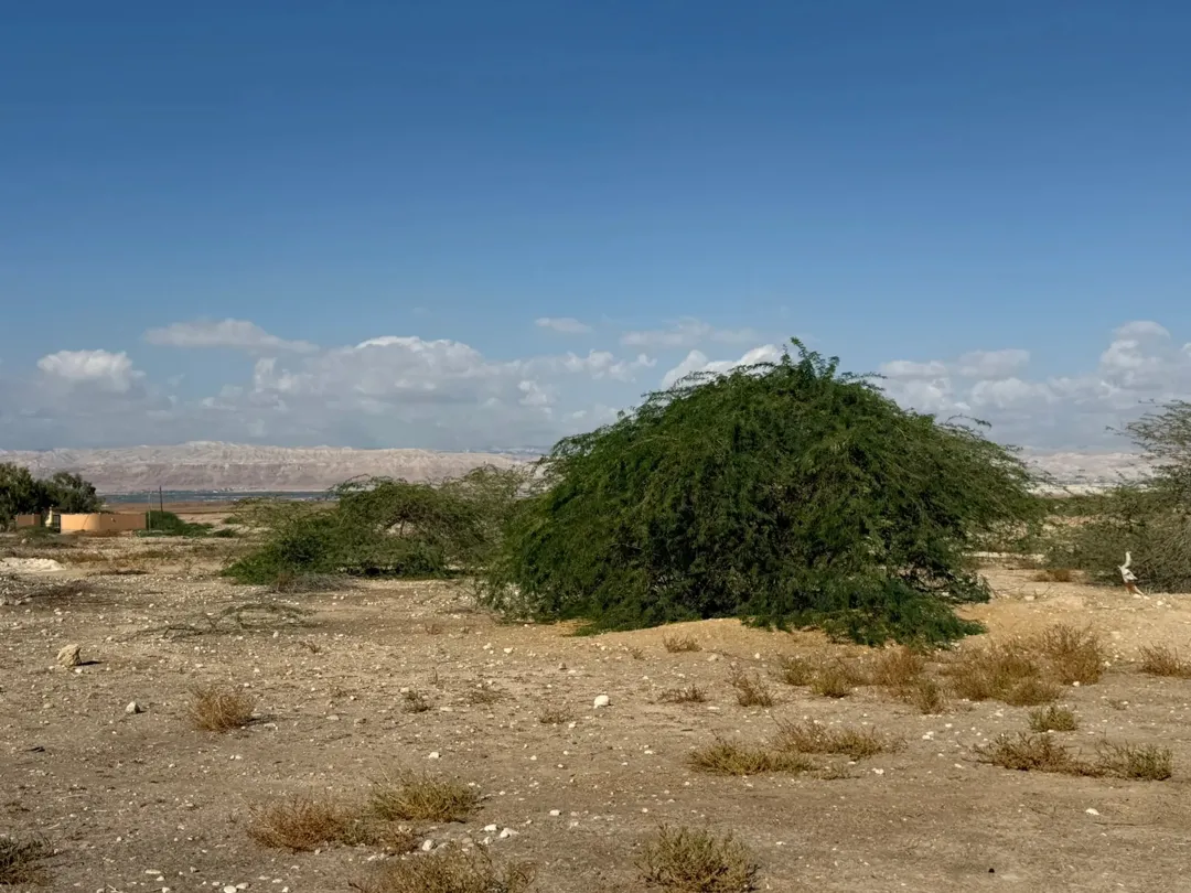 ارض للبيع قرب فندق رمادا – البحر الميت و الكورنيش