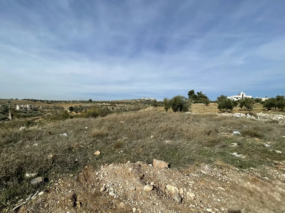ارض مميزة ذات إطلالة بانورامية على البحر الميت في ابو نعير بالقرب من بدر الجديدة