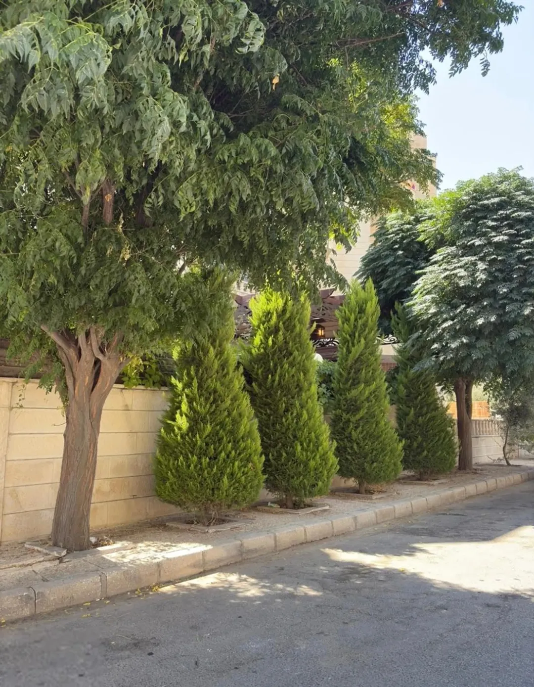 شقة ارضية للبيع – 3 غرف نوم، 193 م²، 90,000 دينار (إعلان 989492)