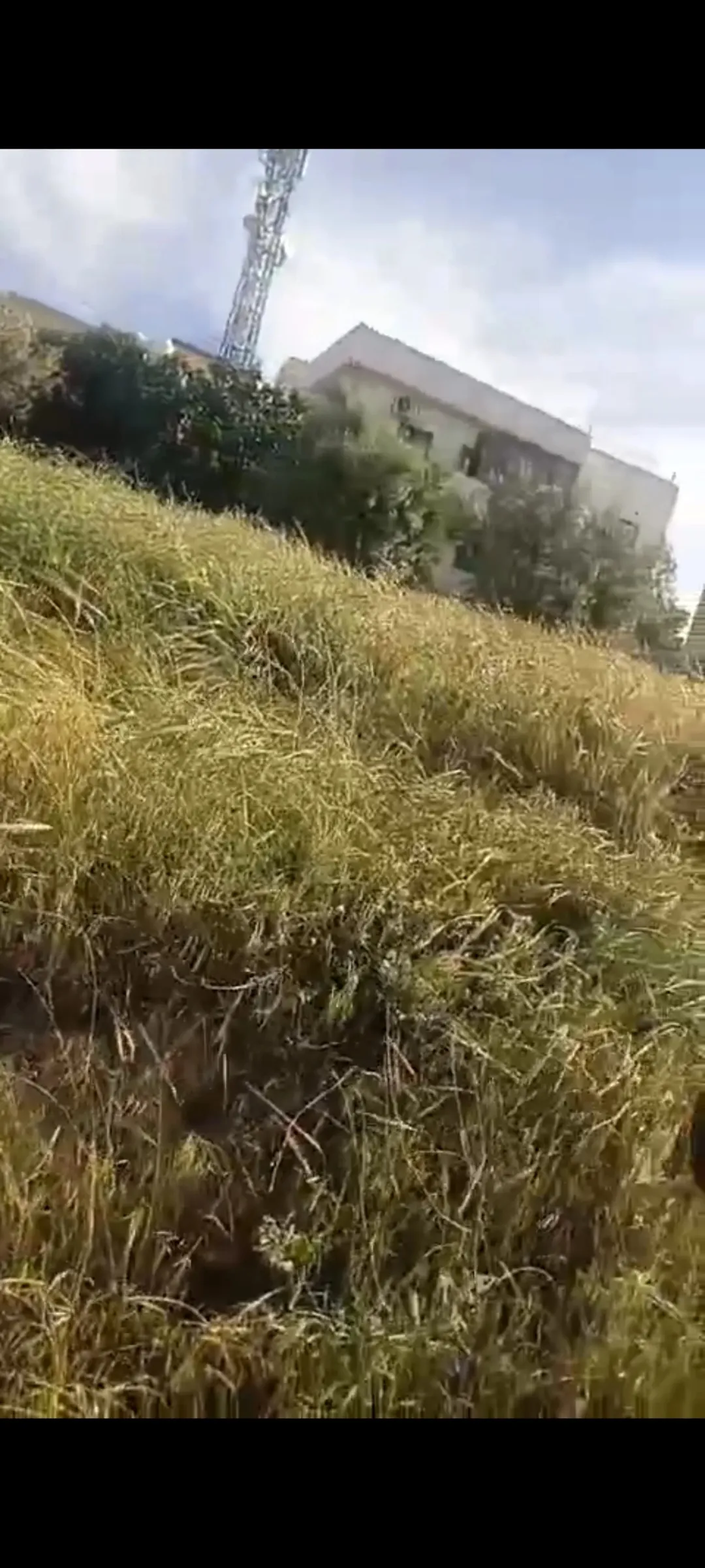 أرض مميزة للبيع بمساحة 881 متر مربع في حوض الزجيبة – ناعور