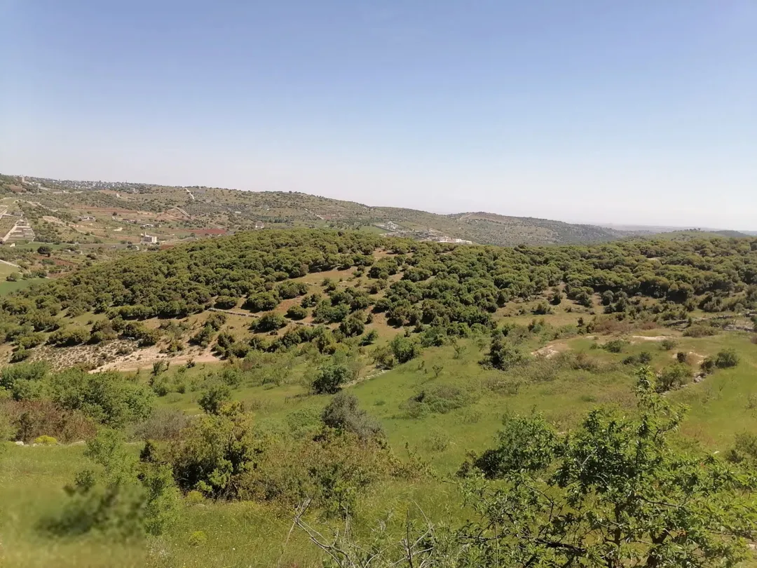 قطعة أرض زراعية مميزة للبيع في عجلون