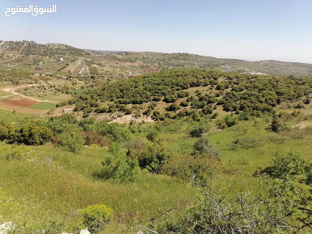 قطعة أرض زراعية مميزة للبيع في عجلون
