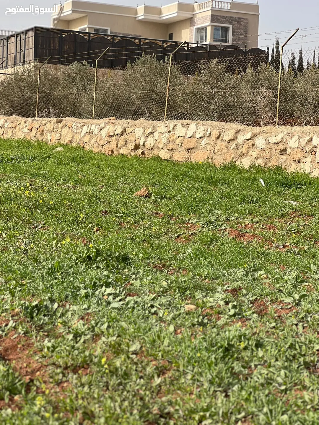 لمن يبحث عن الهدوء والطبيعه ارض للبيع جرش ام قنطره المحمر مساحة 3600متر