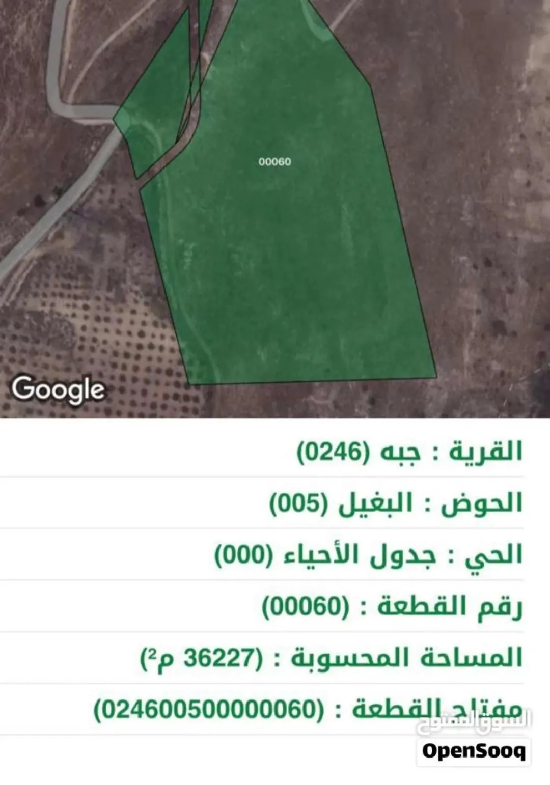أرض زراعية واسعة للبيع في جرش – منطقة جبه