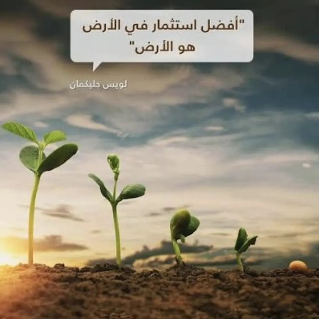 قطع أراضي مميزة في دابوق الحوض