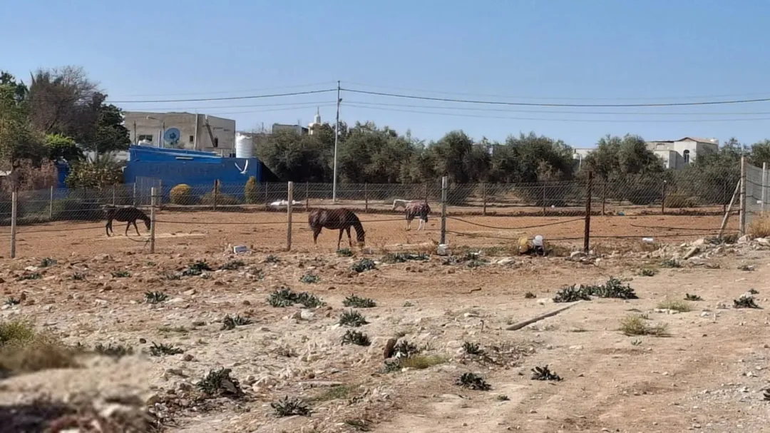 فرصة استثمارية مميزة: أرض للبيع مثالية لبناء الفلل والقصور وسط طبيعة خلابة وهدوء تام